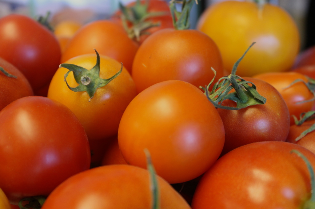 What do you do with a bumper crop of tomatoes? Deb's Kitchen
